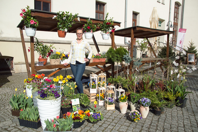 Elżbieta Majewska pierwszy raz uczestniczy w zamkowym jarmarku. W Kędzierzynie-Koźlu, skąd przyjechała, prowadzi firmę GardenElla, specjalizującą się w projektowaniu i utrzymaniu ogrodów, a także sprzedaży kompozycji kwiatów i krzewów.