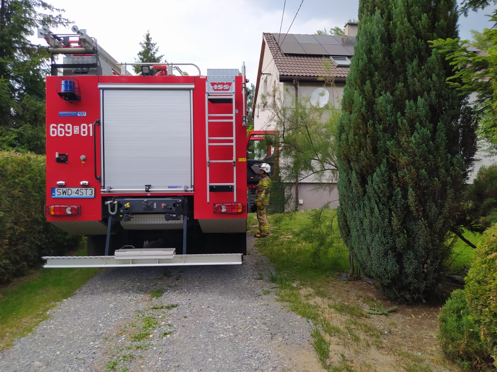 Strażacy z OSP w Syryni złapali węża i wyścili go w lesie. Pamiętajmy, że zaskrońce są objęte ochroną / fot. facebook.com/Ochotnicza-Straż-Pożarna-w-Syryni