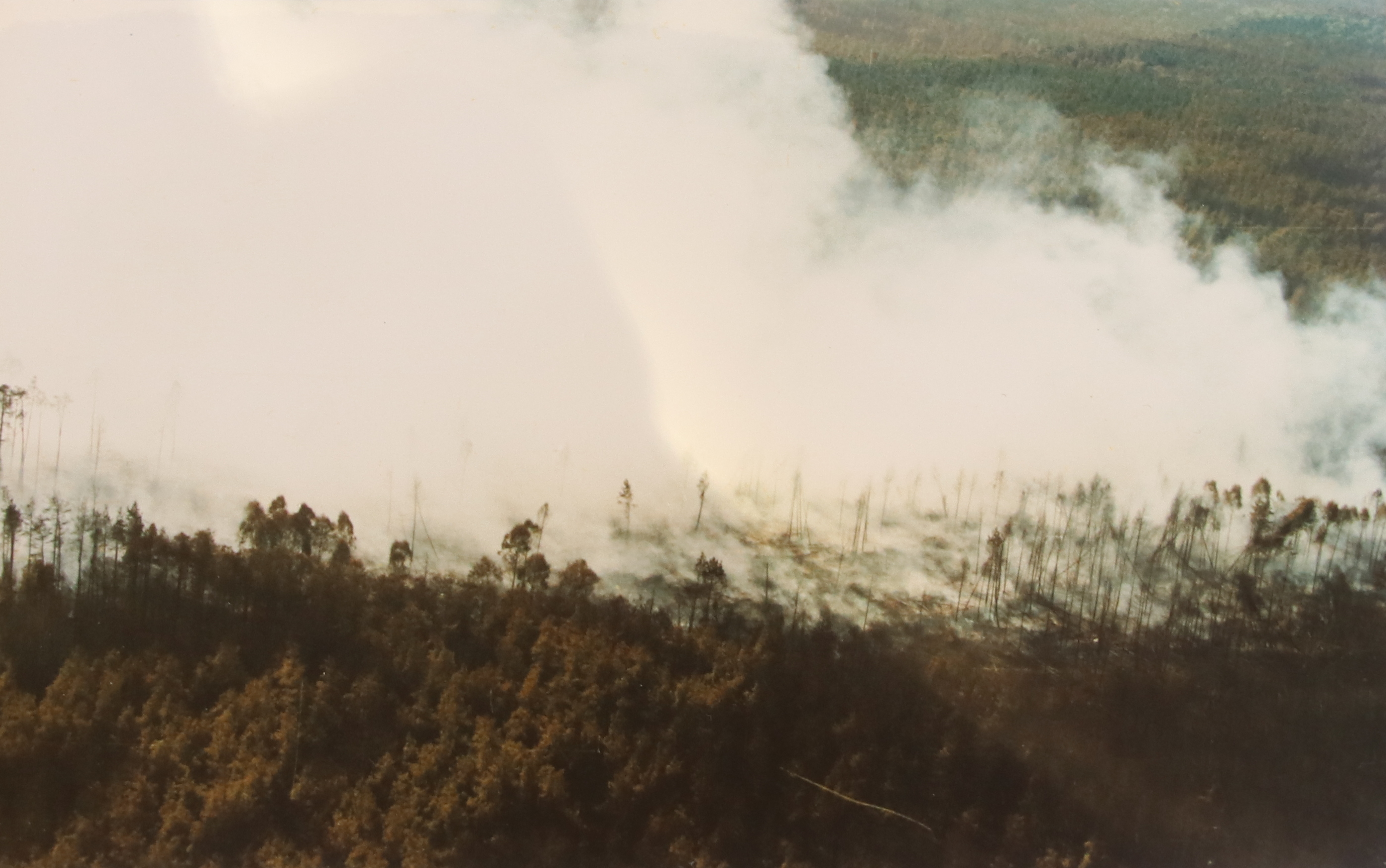 26 sierpnia 1992 roku, w lasach koło Kuźni Raciborskiej wybuchł największy pożar w powojennej historii Polski (fot. arch. prywatne)