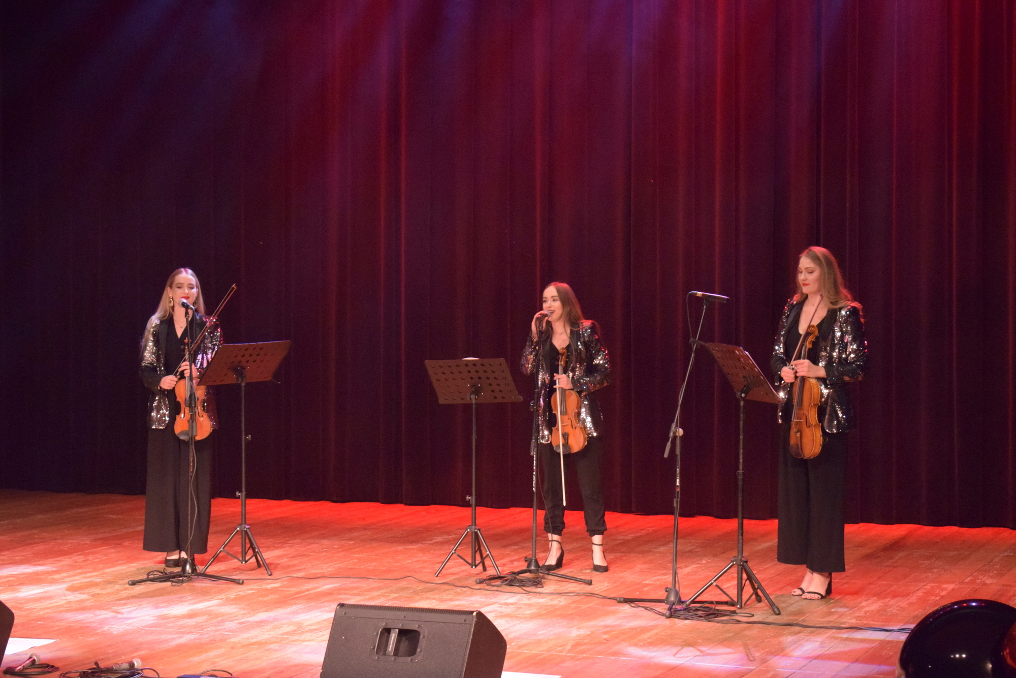 Koncert na skrzypcach zagrany przez grupę Appassionato.