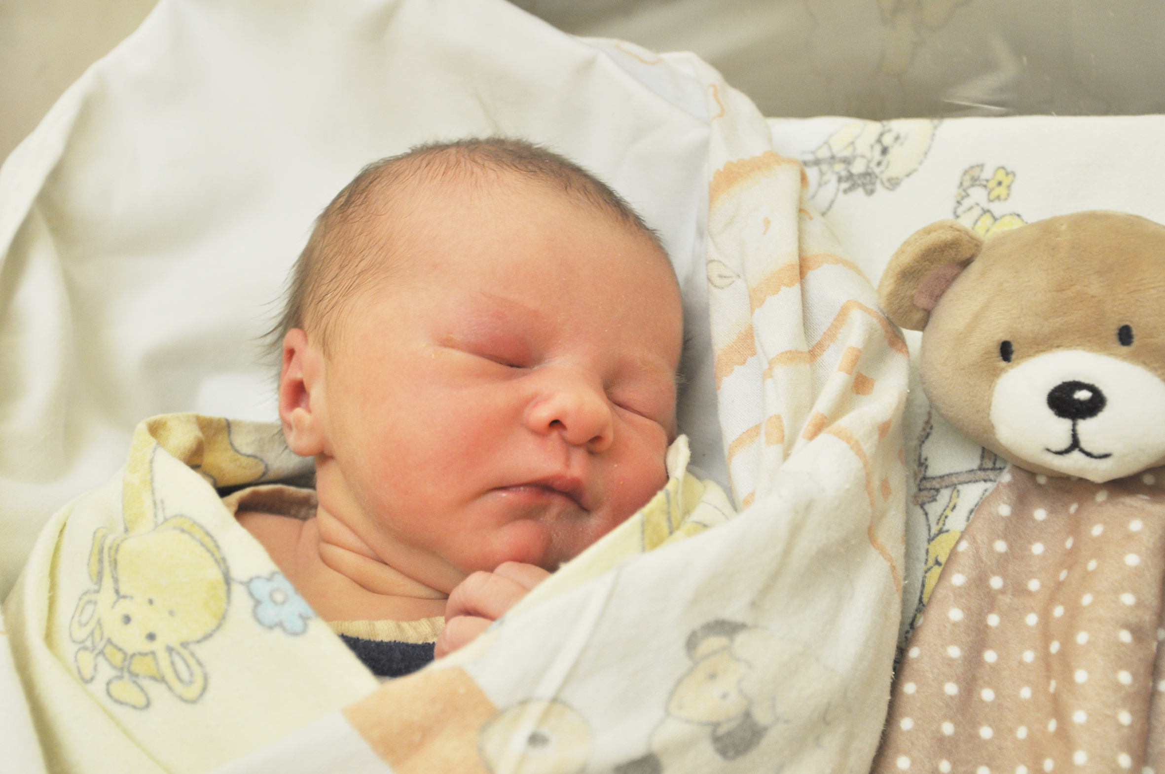 Liliana Kowol jest córeczką Ewy i Wojciecha. Narodziła się 9 lutego o 23.00. Ważyła wtedy  3250 g i mierzyła 55 cm. Rodzina mieszka w Kuźni Raciborskiej.