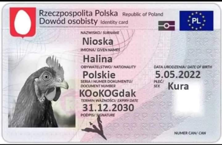 W internecie pojawił się już projekt dowodu osobistego kury. W przypadku kur z terenów przygranicznych być może będzie potrzebny paszport. Autor projektu nieznany.