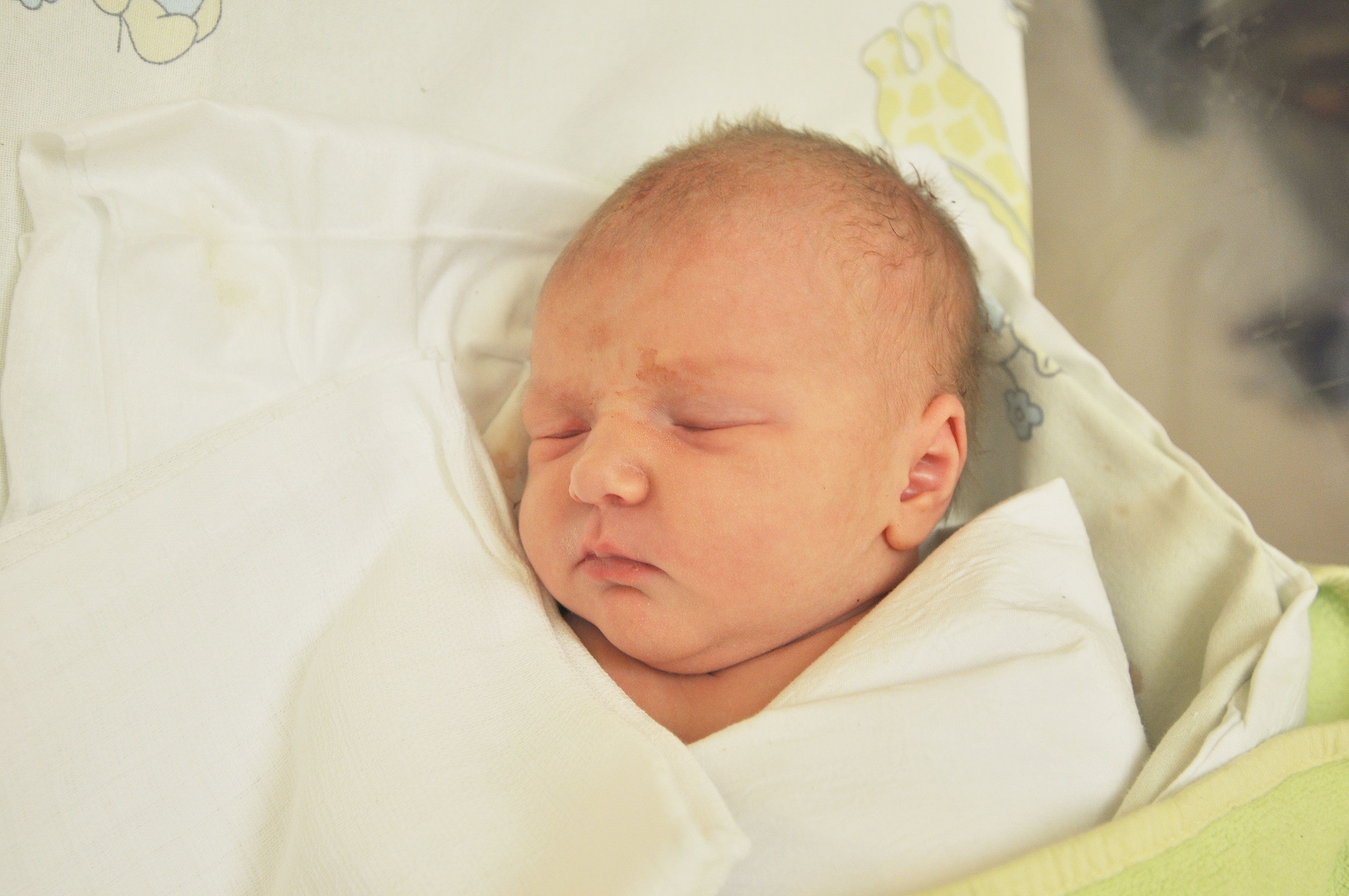 Iga Jabłońska jest nową raciborzanką. Przyszła na świat 14 kwietnia o 6.02. Ważąc 3060 g mierzyła 52 cm. Katarzyna i Paweł – jej rodzice – cieszą się z narodzin pierwszej pociechy.