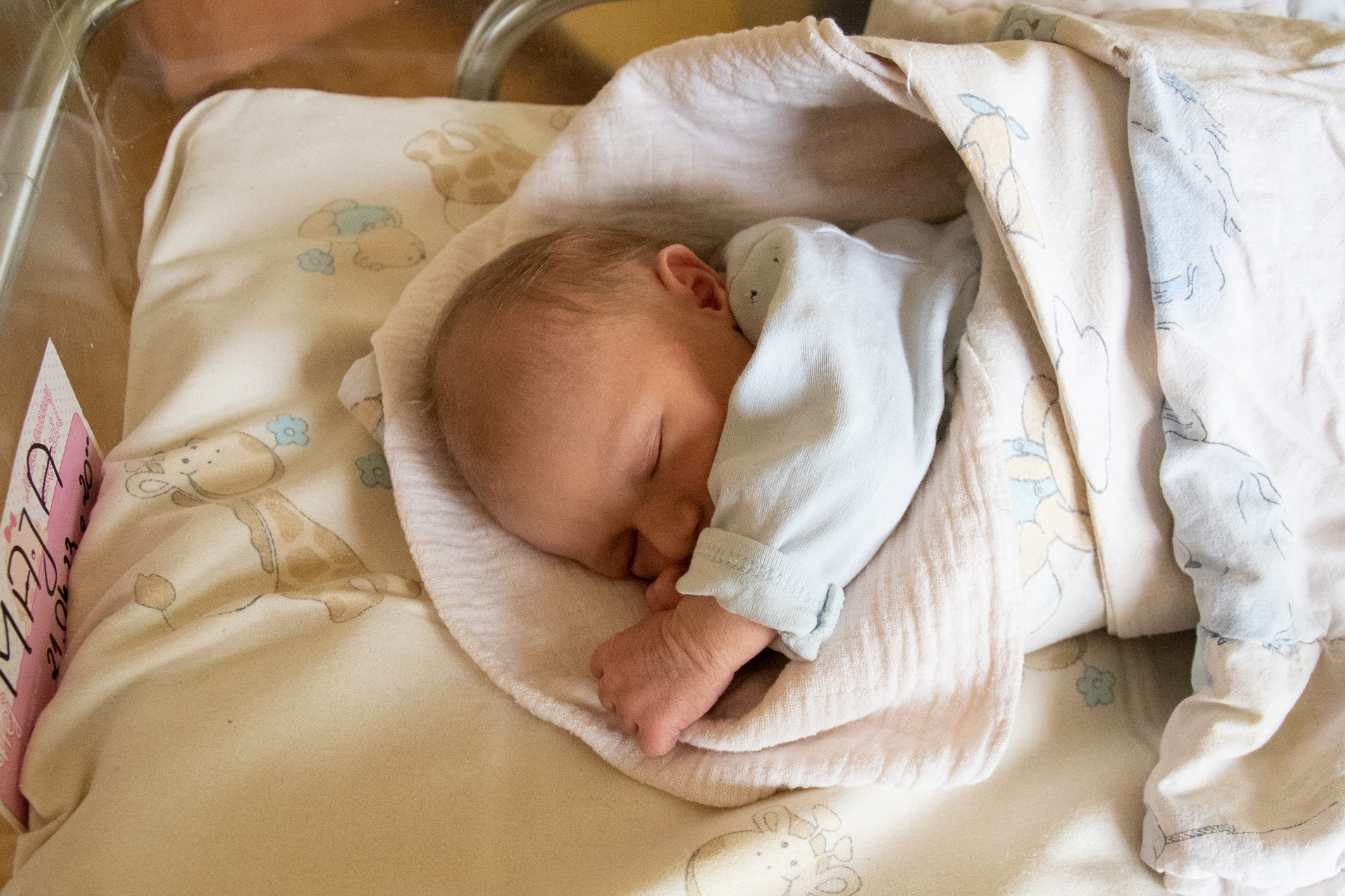 Na zdjęciu słodko śpi Maja Szram. Maja urodziła się 21.04 o godz.20.00. Ważyła 2820 g i mierzyła 57 cm. Jej rodzicami są Ewa i Aleksander z Wodzisławia Śląskiego.