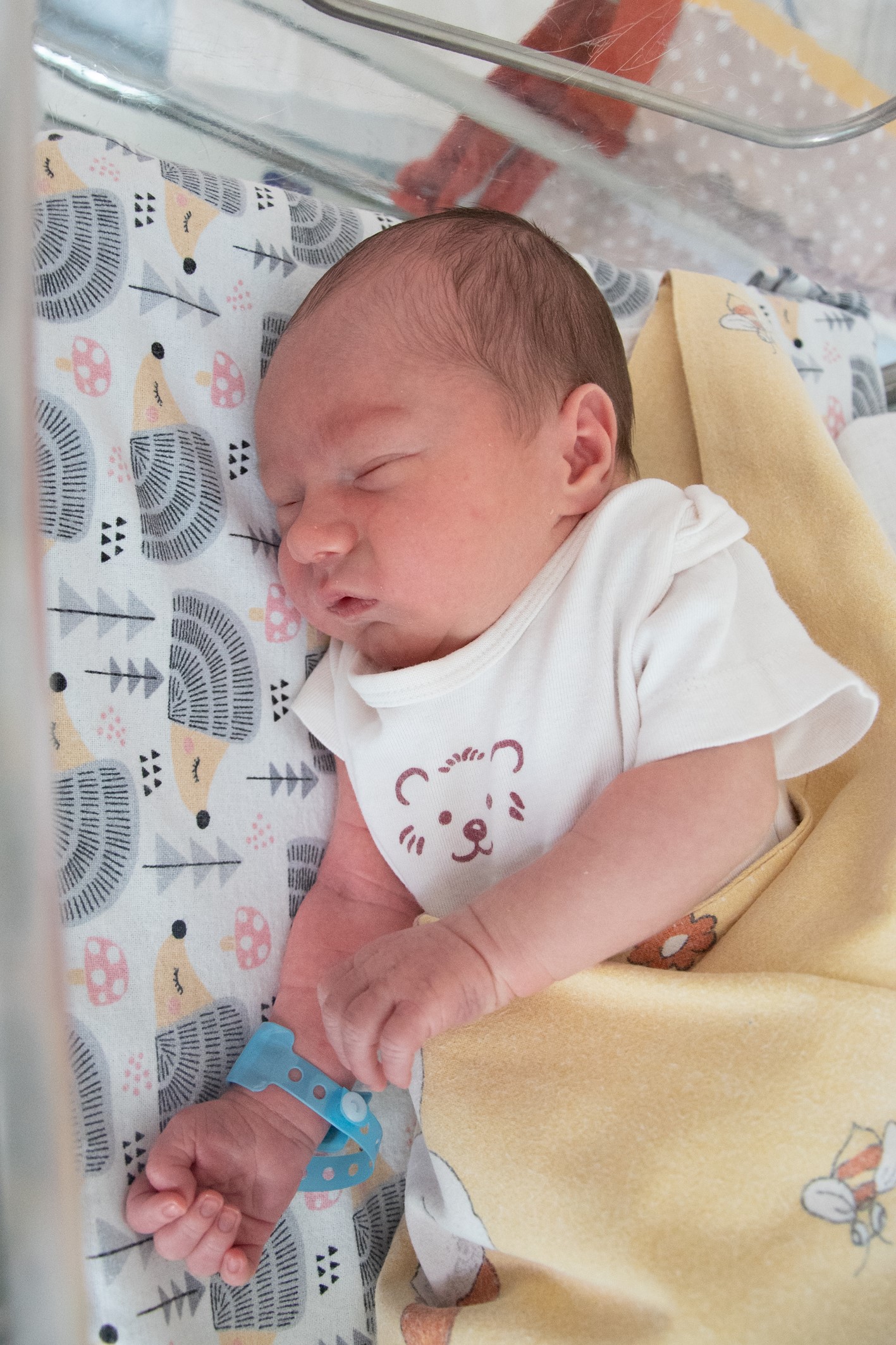 Na zdjęciu słodko śpi Jaś Jeleń. Jaś urodził się 23.07 o godz. 13.29. Ważył 3220 g i mierzył 54 cm. Jego rodzicami są Basia i Damian z Bluszczowa. W domu na Jasia czekają dwie starsze siostry, Joasia i Ania.