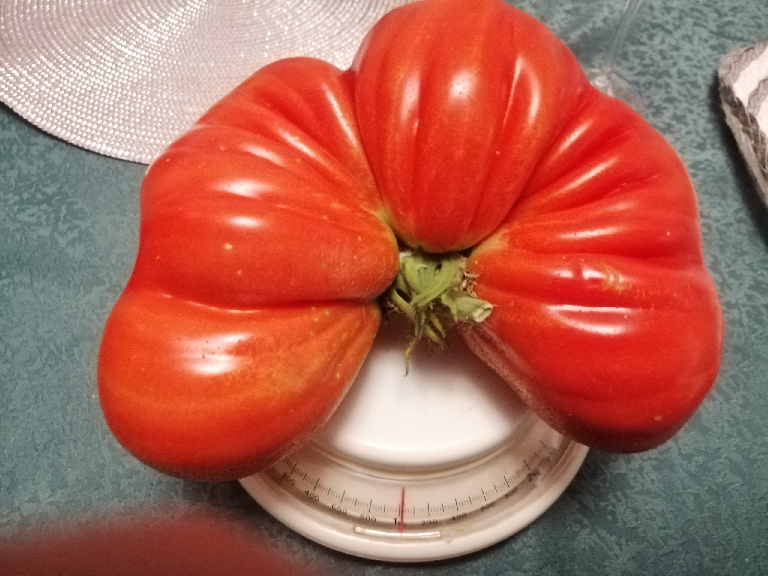 Pomidor waży równy kilogram